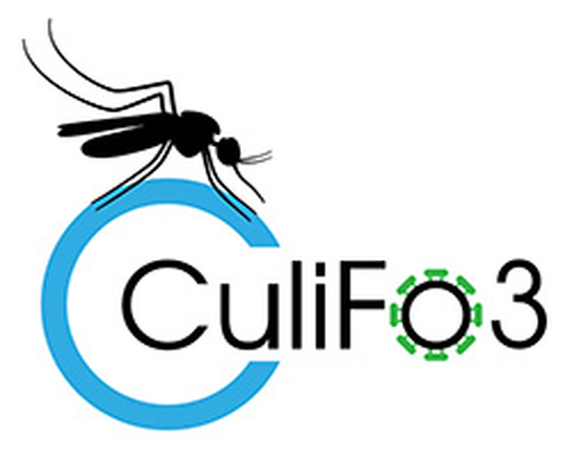 CuliFo3